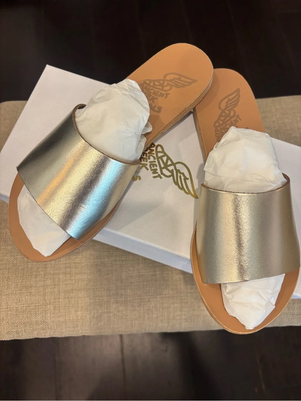 Ancient Greek Sandals Metallic platinum Slide Sandals- tagete